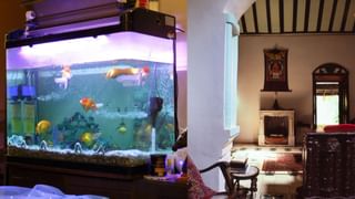 R Ashwin: ‘ടീമിലെടുക്കാത്തതല്ല, പിന്മാറിയതാണ്’; ഐഎൽടി20 ലേലത്തിൽ പ്രതികരിച്ച് ആർ അശ്വിൻ