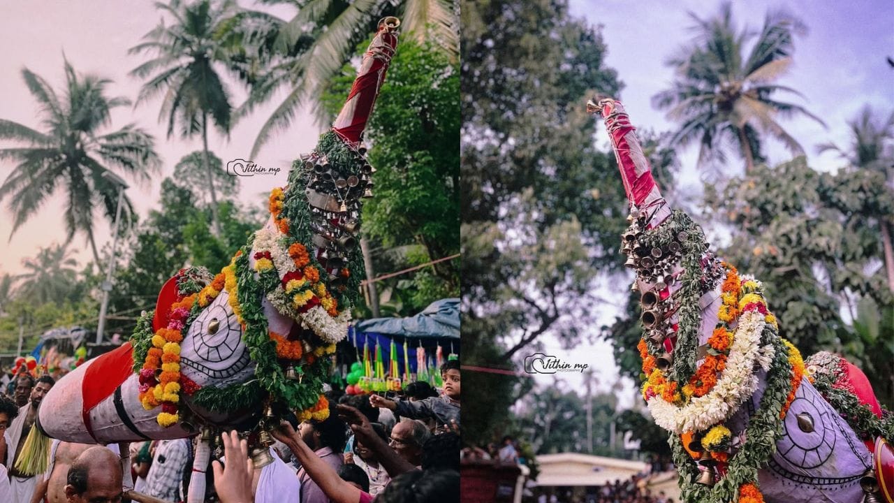 ദേശമൊട്ടാകെ ഉത്സവം അറിയിച്ചുകൊണ്ടുള്ള ജാതവന്റെ ഊരുചുറ്റലിനു ശേഷം ഒക്ടോബർ 21ന് ചൊവ്വാഴ്ച രാവിലെ വാക്കടവിൽ എത്തുന്ന ജാതവൻ അമ്മ പേടിയാട്ടമ്മയെ കണ്ടുമുട്ടി നീരാട്ടിനു ശേഷം ഒന്നിച്ച് തിരിച്ചെഴുന്നള്ളും. മതസൗഹാർദ്ദത്തിനും സാമുദായിക മൈത്രിക്കും പേരുകേട്ടതാണ് കടലുണ്ടി വാവുൽസവം((Kadalundi Vavulsavam). ഒരു ദേശം ഒട്ടാകെ ഇനി ഉത്സവത്തിന്റെ ലഹരിയിലാണ്. (Photo Credit: Jithin MP/Vlogger)