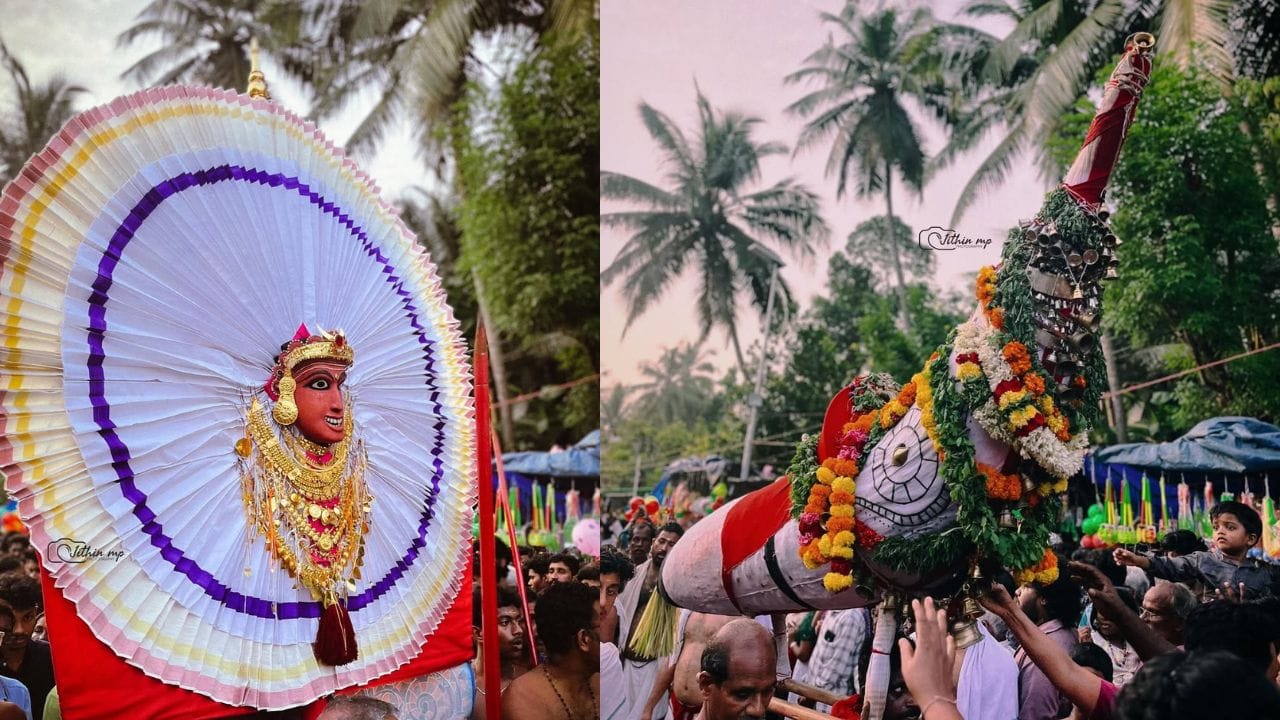 കോഴിക്കോട്: പ്രസിദ്ധമായ കടലുണ്ടി വാവുത്സവത്തിന്(Kadalundi Vavulsavam 2025) ഇന്ന് തുടക്കം. കഴിഞ്ഞ ബുധനാഴ്ചയായിരുന്നു പേടിയാട്ട് ഭഗവതികാവിൽ ഉത്സവത്തിന്റെ കൊടിയേറിയത്. ഇന്ന് ജാതവൻ പുറപ്പാടോടെ ആഘോഷങ്ങൾക്ക് തിരി തെളിയും. വടക്കൻ മലബാറിലെ ക്ഷേത്രോത്സവങ്ങൾക്ക് തുടക്കം കുറിക്കുന്ന ഉത്സവമാണ് കടലുണ്ടി വാവുത്സവം. (Photo Credit: Jithin MP/Vlogger)