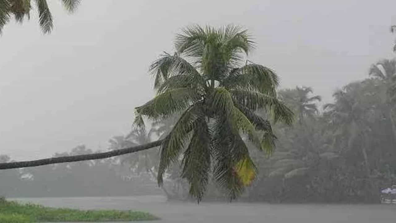Kerala Rain Alert: തിരുവനന്തപുരത്ത് മലയോരമേഖലകളിൽ കനത്ത മഴ; കോഴിക്കോടും മഴ ശക്തമാകുന്നു;ജാ​ഗ്രത നിർദ്ദേശം