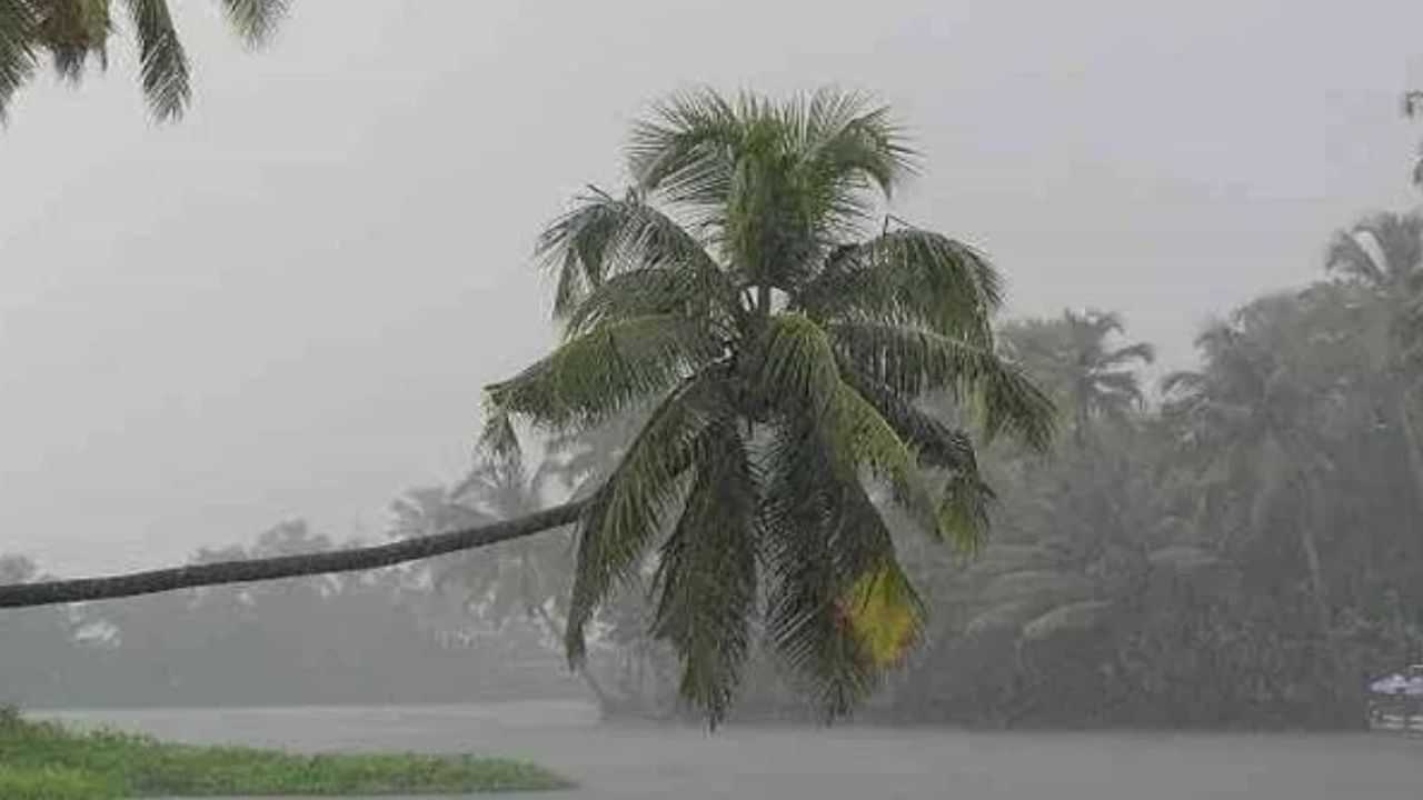 Kerala Rain Alert: തിരുവനന്തപുരത്ത് മലയോരമേഖലകളിൽ കനത്ത മഴ; കോഴിക്കോടും മഴ ശക്തമാകുന്നു;ജാ​ഗ്രത നിർദ്ദേശം