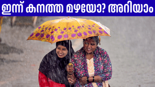 Peechi Dam opening: തൃശ്ശൂർ പീച്ചി ഡാം തുറക്കുന്നു; പുഴയോരത്ത് അതീവ ജാഗ്രതാ നിർദേശം