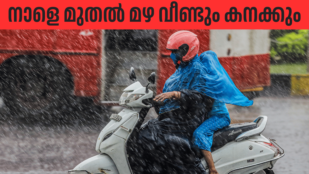 Kerala Rain Alert Update: സംസ്ഥാനത്ത് നാളെ മുതൽ മഴ വീണ്ടും കനക്കും; ഇന്ന് 6 ജില്ലകളിൽ യെല്ലോ അലർട്ട്; മത്സ്യബന്ധന വിലക്ക് തുടരും Kerala Rain Alert Update: സംസ്ഥാനത്ത് നാളെ മുതൽ മഴ വീണ്ടും കനക്കും; ഇന്ന് 6 ജില്ലകളിൽ യെല്ലോ അലർട്ട്; മത്സ്യബന്ധന വിലക്ക് തുടരും