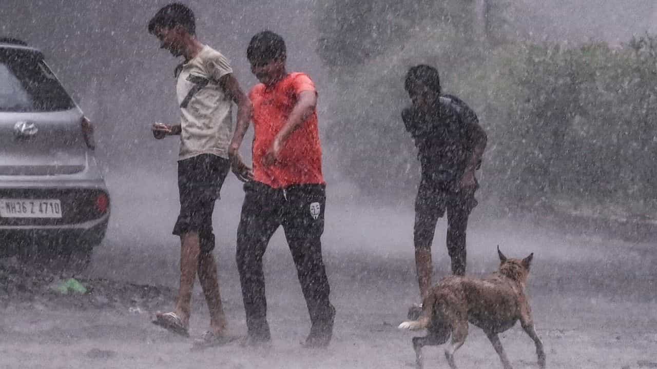 Kerala Rain Alert: ജാ​ഗ്രതാ... വരുന്നൂ പേമാരി! വിവിധ ജില്ലകളിൽ ഓറഞ്ച്, യെല്ലോ അലർട്ട്, ഇടിമിന്നൽ ജാ​ഗ്രത
