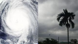 Viral Video: കുട്ടിക്ക് ചികിത്സ നിഷേധിച്ചു, പിതാവിനെ അടിച്ച് വനിതാ ഡോക്ടർ; വീഡിയോ വൈറൽ