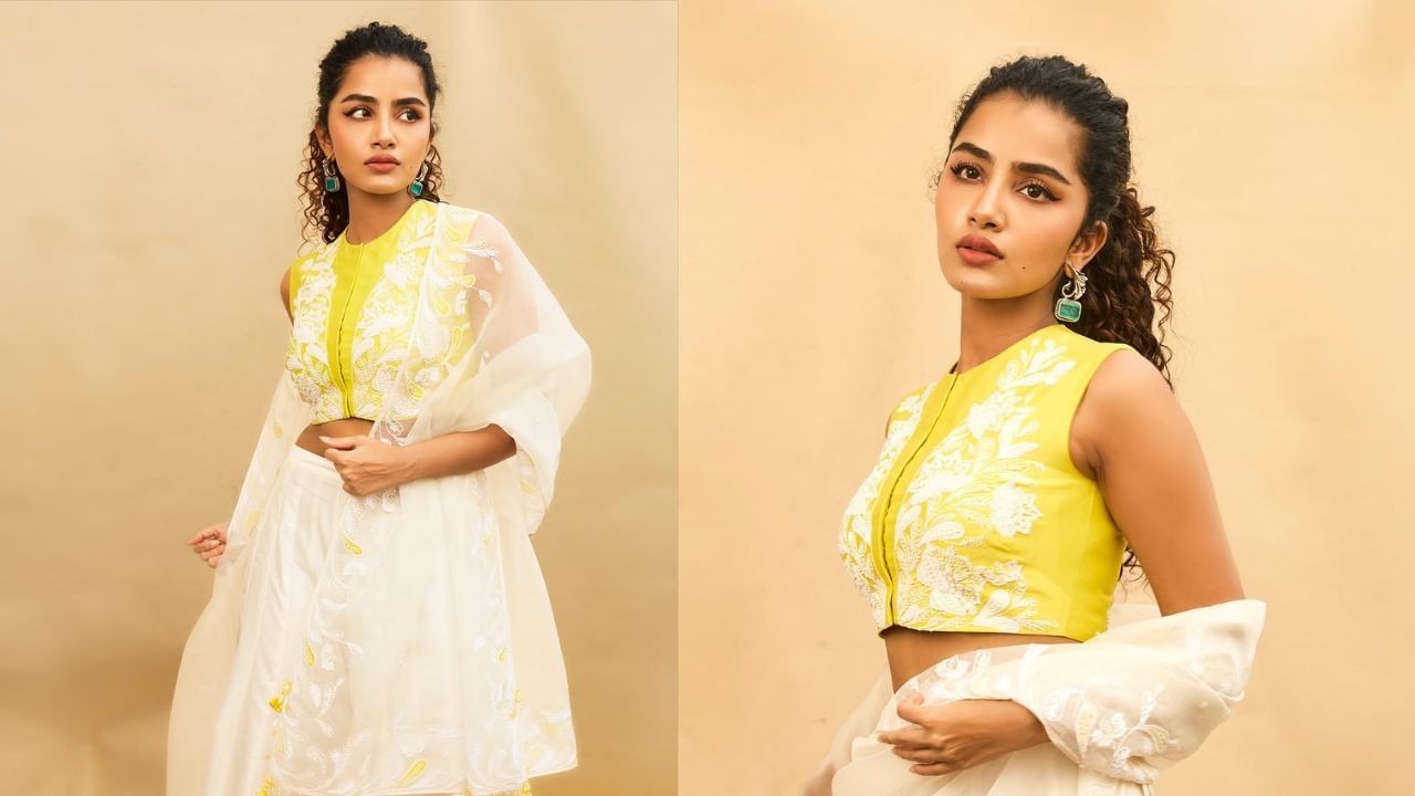 ഏറ്റവും ലേറ്റസ്റ്റ് ആയി പോളി ഇന്റർവ്യൂ ചെയ്തത് നടൻ വിക്രമിന്റെ മകൻ ധ്രുവ് വിക്രമിനേയും നടി രജിഷ വിജയനേയും ആയിരുന്നു.മൂവരും തമ്മിലുള്ള രസകരമായ മുഹൂർത്തങ്ങൾ ഇപ്പോൾ സോഷ്യൽ മീഡിയയിൽ ഹിറ്റാണ്. അതിനിടയിൽ ബൈസൺ എന്ന ചിത്രത്തിൽ വിക്രമിന്റെ നായികയായി എത്തിയ അനുപമ പരമേശ്വരനെ കുറിച്ച് പറഞ്ഞ കാര്യങ്ങളാണ് സോഷ്യൽ മീഡിയയിൽ ശ്രദ്ധയാകുന്നത്.(PHOTO: SOCIAL MEDIA)