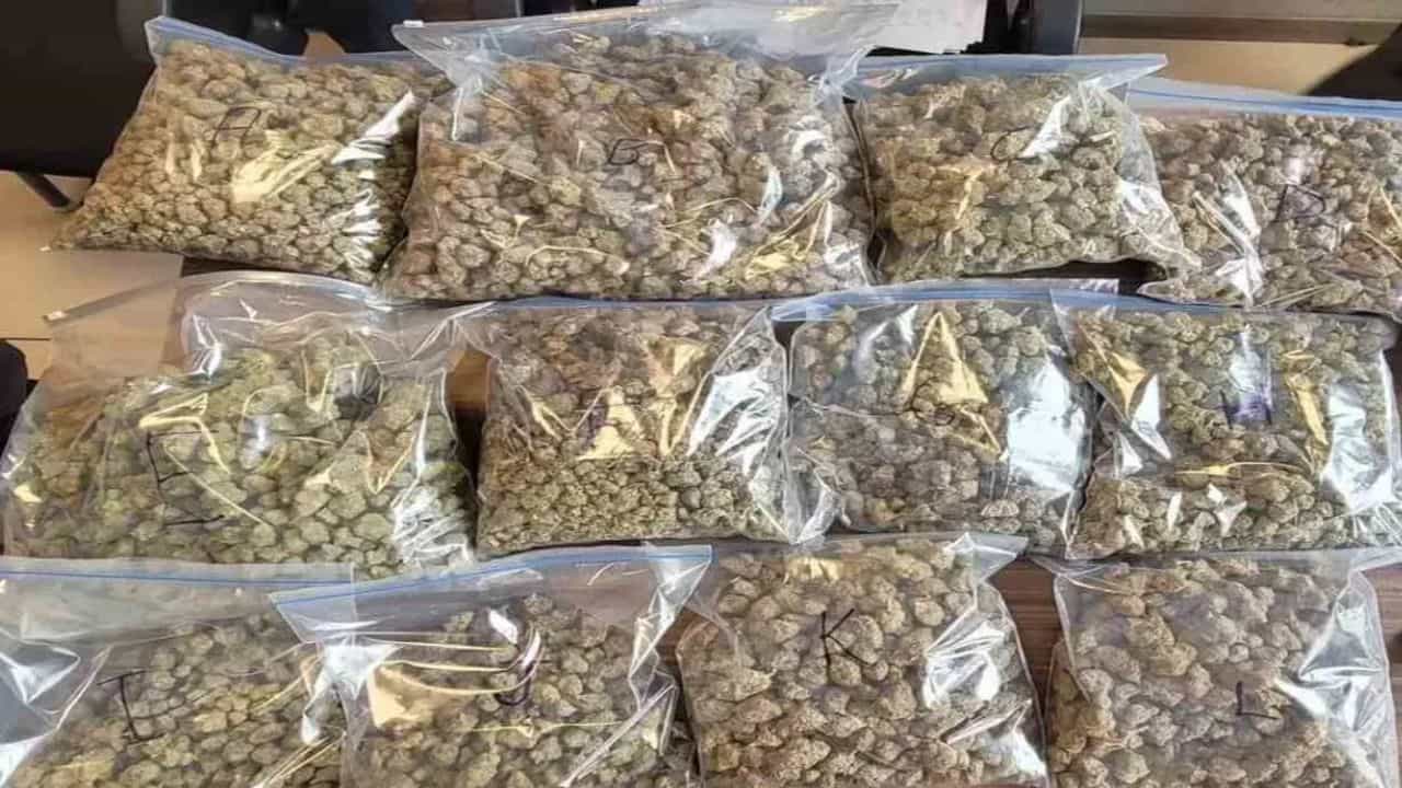 Drug Seized: കരിപ്പൂരിൽ വൻ ലഹരി വേട്ട; 3.98 കോടിയുടെ ഹൈബ്രിഡ് കഞ്ചാവുമായി കോഴിക്കോട് സ്വദേശി പിടിയിൽ