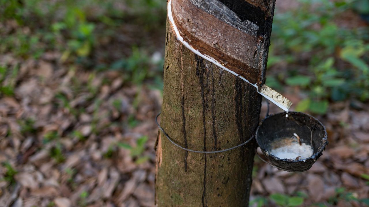 കേരളത്തിന് പുറത്ത് നിന്ന് റബര്‍ കൊണ്ടുവന്ന് വിലയിടിക്കാനുള്ള ശ്രമം നേരത്തെ ടയര്‍ കമ്പനികളുടെയും വ്യാപാരികളുടെയും ഭാഗത്ത് നിന്നുണ്ടായിരുന്നു. എന്നാല്‍ ഇത് പരാജയപ്പെട്ടതോടെ വീണ്ടും കേരളത്തില്‍ നിന്ന് വാങ്ങിത്തുടങ്ങി. പല കമ്പനികളും മൊത്തക്കച്ചവടക്കാരും വിപണിയില്‍ നിന്നും മൂന്നും നാലും രൂപ കുറച്ചുള്ള വില നല്‍കി റബര്‍ കര്‍ഷകരെ ചൂഷണം ചെയ്യുന്നു.