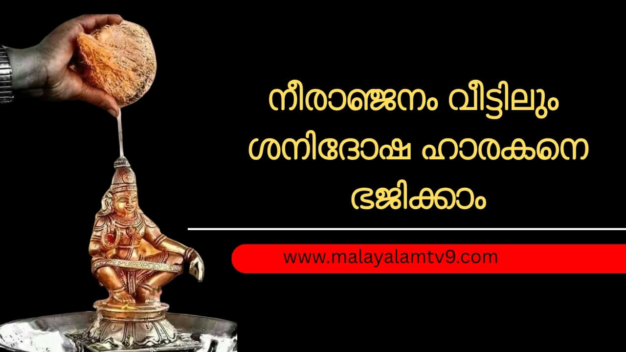 Shani Dosha Remedies: നീരാജനം വീട്ടിലും ചെയ്യാം, ശനിദോഷ ഹാരകനെ ഭജിക്കാം