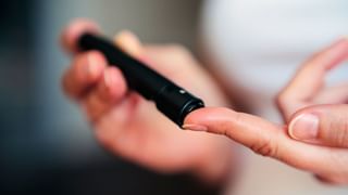 Rubber Market Price: മഴയും ഡോളറും തുണച്ചു; വില വർദ്ധിക്കുമ്പോൾ നേട്ടം ഇക്കൂട്ടർക്ക്