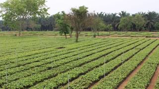 News9 Global Summit 2025 : പുതിയ ഇന്ത്യയെക്കുറിച്ച് വിദേശരാജ്യങ്ങൾക്ക് ജിജ്ഞാസ; ടിവി9 നെറ്റ്വർക്ക് എംഡി, സിഇഒ ബരുൺ ദാസ്