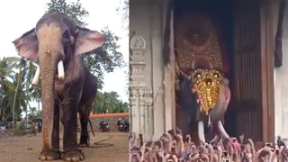 Heavy Rain Alert: കനത്ത മഴ; നാളെ ഈ ജില്ലക്കാർ പ്രത്യേകം ശ്രദ്ധിക്കണം; നിയന്ത്രണങ്ങൾ ഏർപ്പെടുത്തി, രാത്രി യാത്ര നിരോധിച്ചു