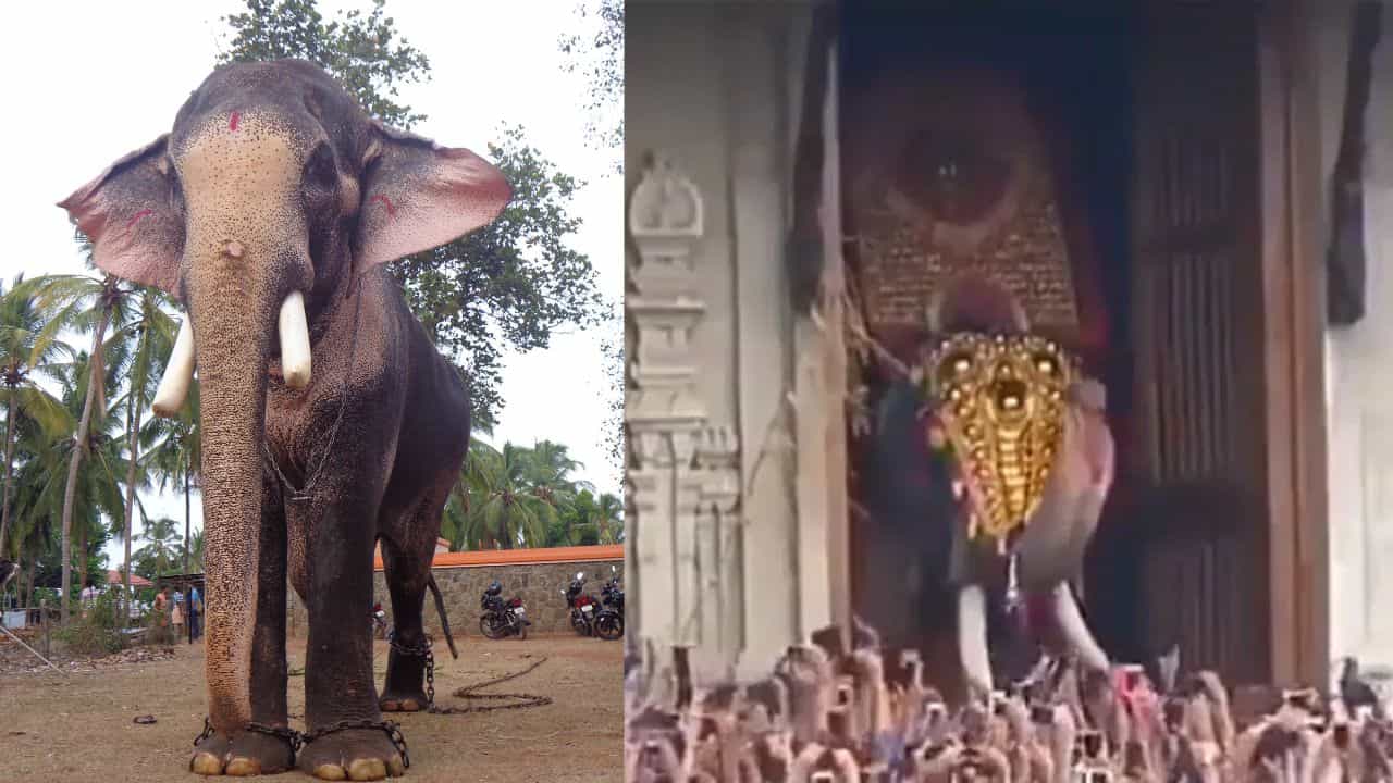 Thechikottukavu ramachandran: തെച്ചിക്കോട്ടുകാവ് രാമചന്ദ്രൻ വീണ്ടും റെക്കോർഡിലേക്ക്; ഏക്കത്തുകയിൽ വീണ്ടും ചരിത്രം