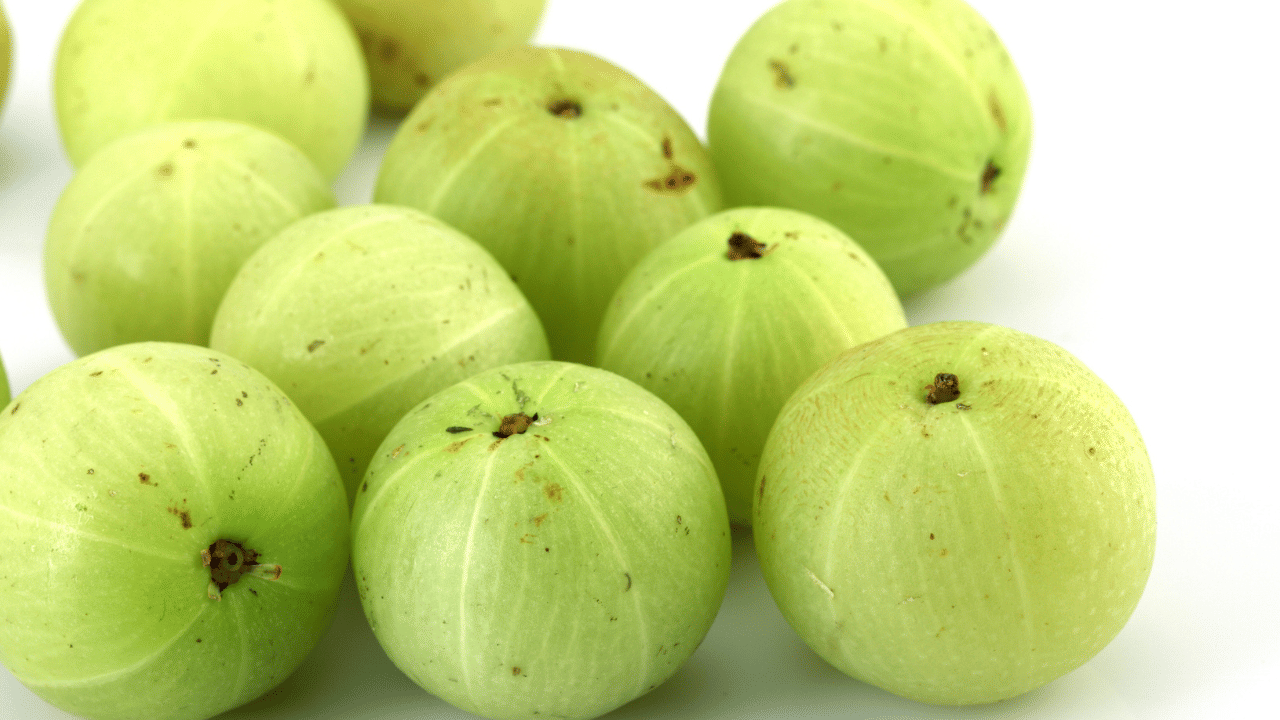 നെല്ലിക്കയിൽ വിറ്റാമിൻ സി ധാരാളമുണ്ട്. ഇത് ശരീരത്തിൽ ഓക്സലേറ്റ് ആയി പരിവർത്തനം ചെയ്യുകയും കല്ലുകൾ രൂപപ്പെടുന്നതിന് കാരണമാകുകയും ചെയ്യുന്നു. വൃക്കയിൽ കല്ല് ഉണ്ടായിട്ടുള്ളവർ അല്ലെങ്കിൽ വൃക്കയുടെ പ്രവർത്തനം തകരാറിലായവർ നെല്ലിക്ക അമിതമായി കഴിക്കരുത്. (Image Credit: Getty Images)