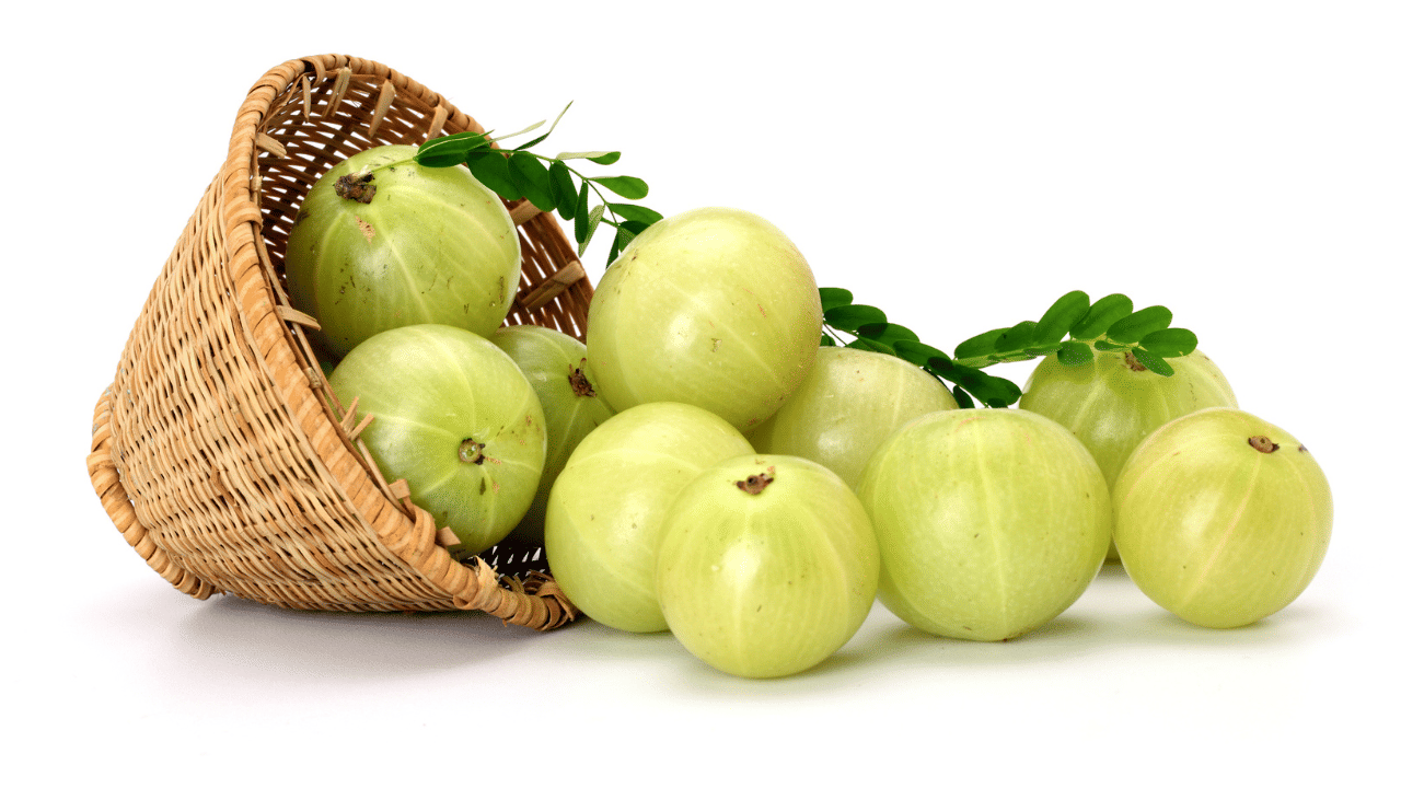 നെല്ലിക്കയ്ക്ക് സ്വാഭാവികമായ രക്തം കട്ടപിടിക്കുന്നത് തടയാനുള്ള ഗുണങ്ങളുണ്ട്. അതിനാൽ രക്തം കട്ടപിടിക്കാതിരിക്കാനുള്ള മരുന്നുകൾ കഴിക്കുന്നവർ നെല്ലിക്ക ഒഴിവാക്കണം. നെല്ലിക്കയുടെ ഉപയോഗം രക്തസ്രാവ സാധ്യത വർദ്ധിപ്പിച്ചേക്കും. (Image Credit: Getty Images)