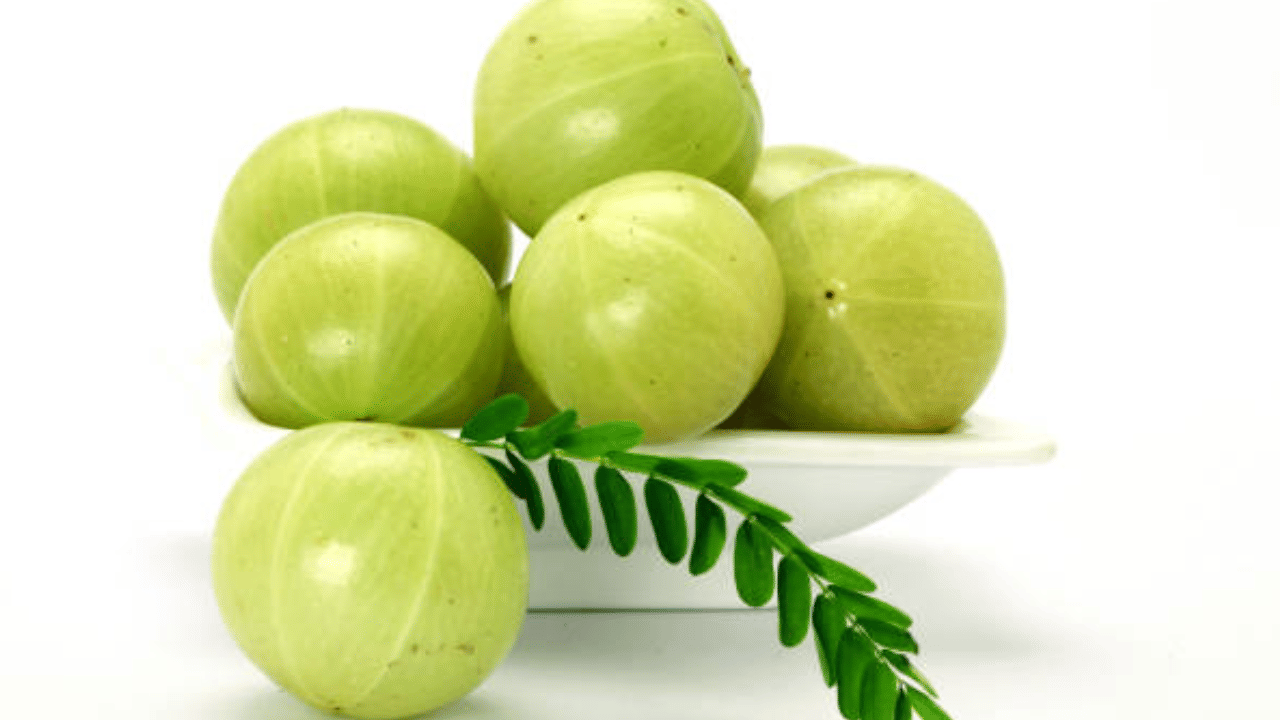 നെല്ലിക്കയ്ക്ക് സ്വാഭാവികമായി അസിഡിറ്റി സ്വഭാവമുണ്ട്. അൾസർ, ഗ്യാസ്ട്രൈറ്റിസ് പോലുള്ള പ്രശ്നങ്ങളുള്ളവർ നെല്ലിക്ക കഴിക്കുമ്പോൾ നെഞ്ചെരിച്ചിൽ, വയറുവേദന, വയറുവീർക്കൽ തുടങ്ങിയ ഉണ്ടായേക്കാം.  (Image Credit: Getty Images)
