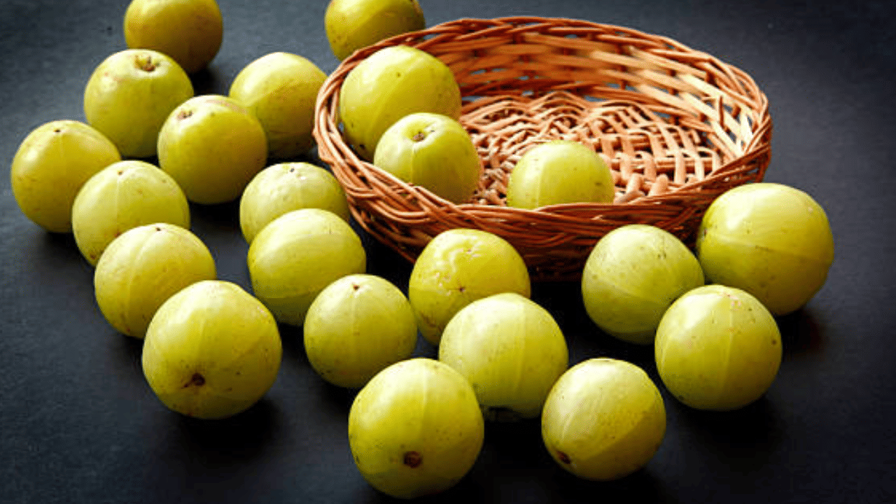 ഹൈപ്പോഗ്ലൈസീമിയ, അതായത് രക്തത്തിൽ പഞ്ചസാരയുടെ അളവ് കുറഞ്ഞ ആളുകൾ നെല്ലിക്ക അമിതമായി കഴിക്കരുത്. നെല്ലിക്കയുടെ ആൻ്റി-ഡയബറ്റിക് ഗുണങ്ങൾ, രക്തത്തിലെ പഞ്ചസാരയുടെ അളവ് കൂടുതൽ കുറയ്ക്കുകയും തലകറക്കം, ക്ഷീണം, ബോധക്ഷയം എന്നിവയിലേക്ക് നയിക്കുകയും ചെയ്യും. (Image Credit: Getty Images)