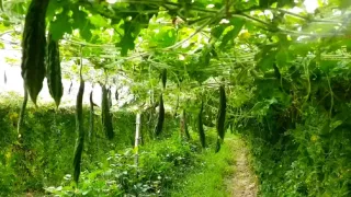 Archana Kavi: ‘ഡേറ്റിങ് ആപ്പിലൂടെയാണ് റിക്കിനെ പരിചയപ്പെട്ടത്, ടൈം പാസിന് മിണ്ടാം എന്ന് കരുതി’; വിവാഹത്തെക്കുറിച്ച് അര്‍ച്ചന കവി