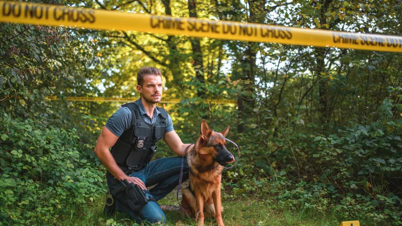 Canine Forensics: നായയെ പരിശീലിപ്പിക്കാൻ പഠിക്കാം...; അതും പൊലീസ് അക്കാദമിയിൽ, അവസാന തീയതി