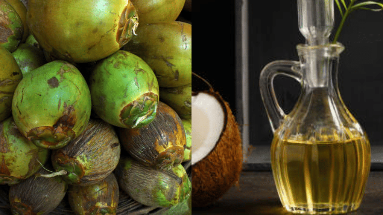 Coconut Oil Price: വെളിച്ചെണ്ണ അല്ല, ഇത്തവണ കുതിച്ചത് തേങ്ങ;  വില നൂറ് കടന്നേക്കും