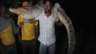 Driving Licence: ഇനിയും ലൈസന്‍സ് ആധാറുമായി ബന്ധിപ്പിച്ചില്ലേ? ഇ-ചലാന്‍ വിവരങ്ങള്‍ പോലും അറിയില്ല