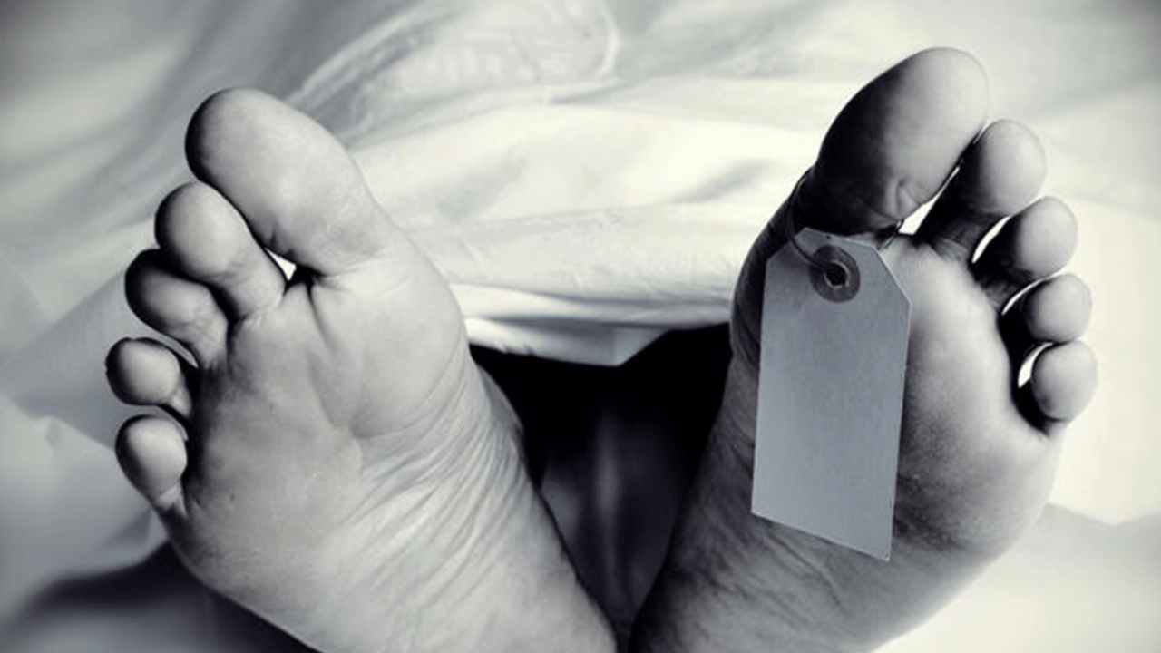 Alappuzha Medical College: വണ്ടാനം മെഡിക്കൽ കോളേജ് ആശുപത്രിയിൽ പ്രസവാനന്തരം ചികിത്സയിലായിരുന്ന യുവതി മരിച്ചു