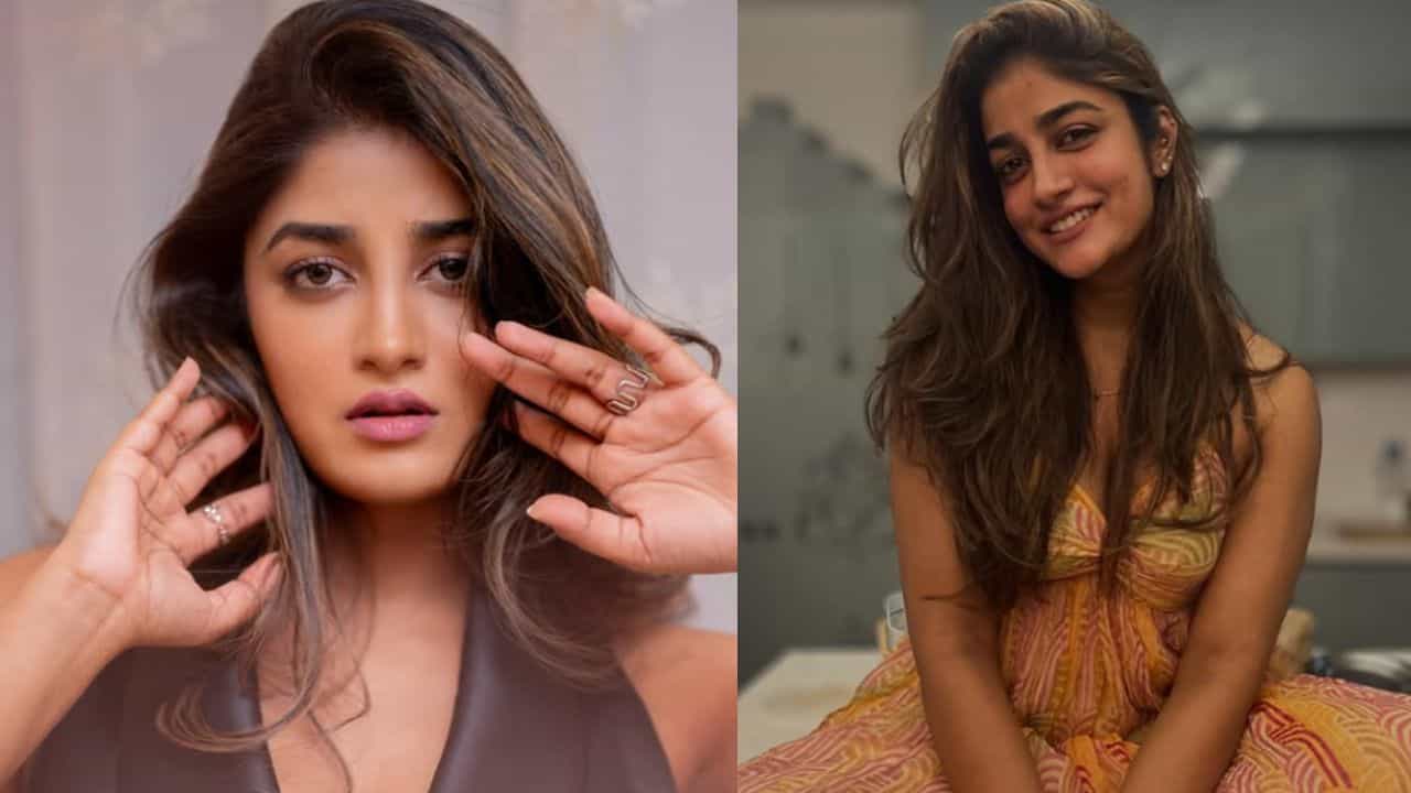 Dimple Hayathi: നായ്ക്കളെന്ന് അധിക്ഷേപിച്ചു; കൊല്ലുമെന്ന് ഭീഷണിപ്പെടുത്തി: നടി ഡിംപിൾ ഹയാതിയ്ക്കെതിരെ വീട്ടുജോലിക്കാരി