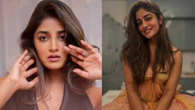 Dimple Hayathi: നായ്ക്കളെന്ന് അധിക്ഷേപിച്ചു; കൊല്ലുമെന്ന് ഭീഷണിപ്പെടുത്തി: നടി ഡിംപിൾ ഹയാതിയ്ക്കെതിരെ വീട്ടുജോലിക്കാരി