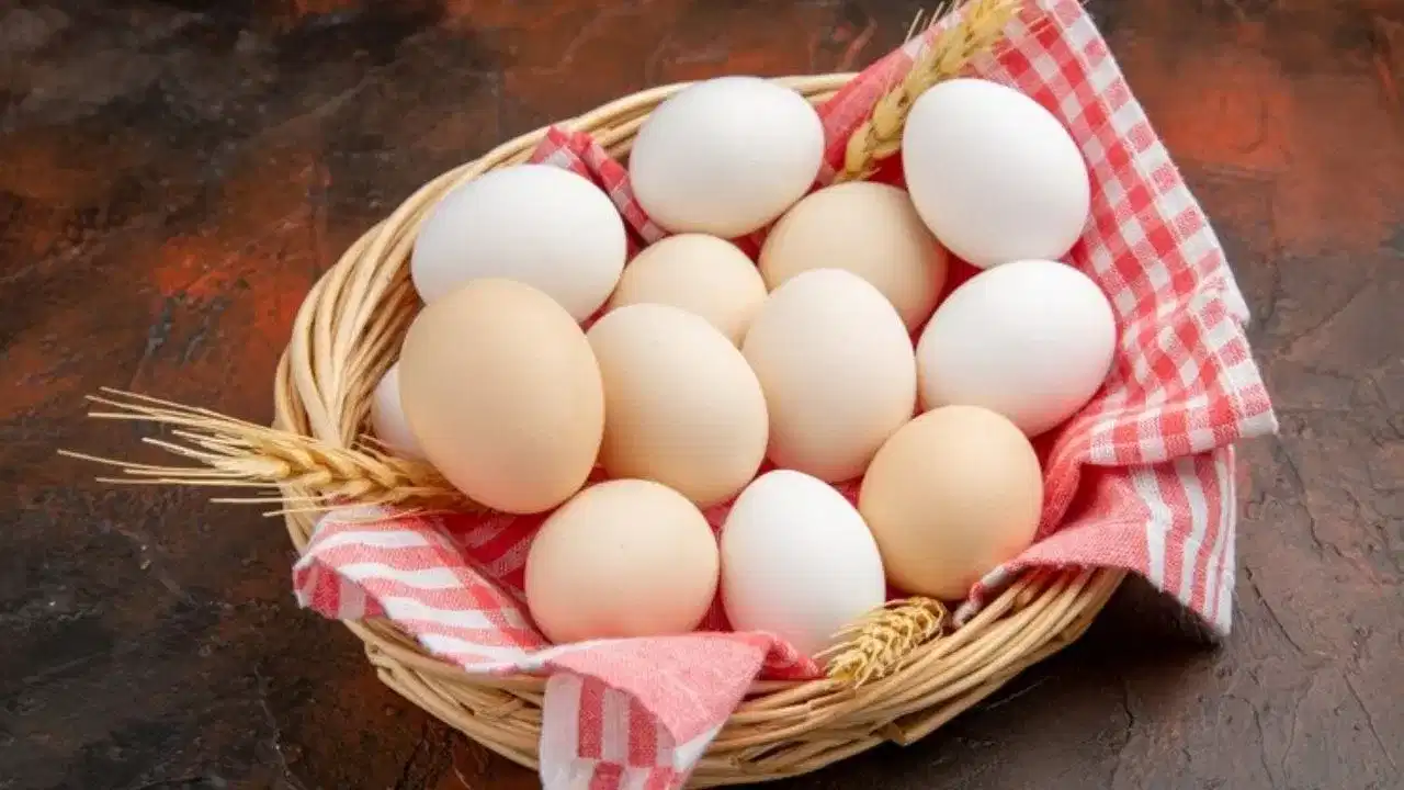 Egg diet: ഒരു ദിവസം എത്ര മുട്ട വരെ കഴിക്കാം? ശ്രദ്ധിക്കേണ്ട പ്രധാന കാര്യങ്ങൾ ഇതെല്ലാം