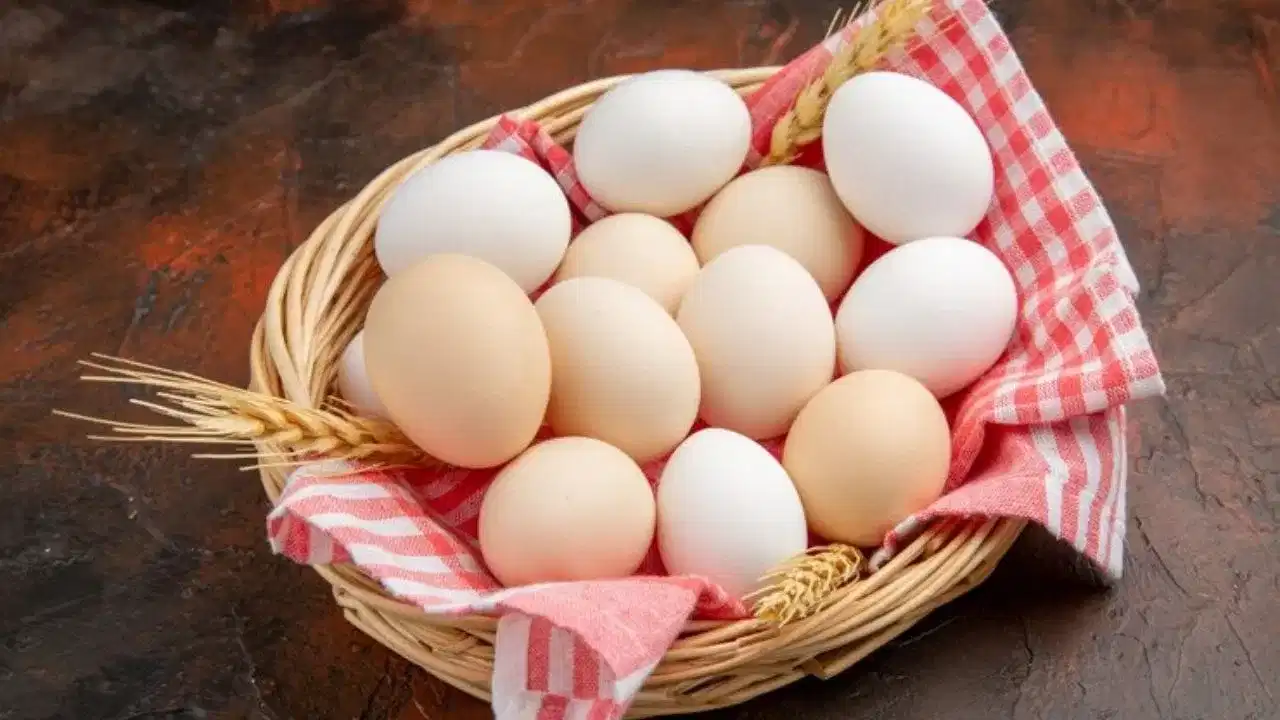 Egg diet: ഒരു ദിവസം എത്ര മുട്ട വരെ കഴിക്കാം? ശ്രദ്ധിക്കേണ്ട പ്രധാന കാര്യങ്ങൾ ഇതെല്ലാം
