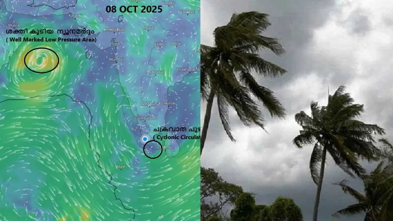Kerala Rain Alert: മധ്യപടിഞ്ഞാറൻ അറബിക്കടലിനു മുകളിൽ ശക്തി കൂടിയ ന്യൂനമർദ്ദം; ഇന്ന് വിവിധ ജില്ലകളിൽ യെലോ അലർട്ട്
