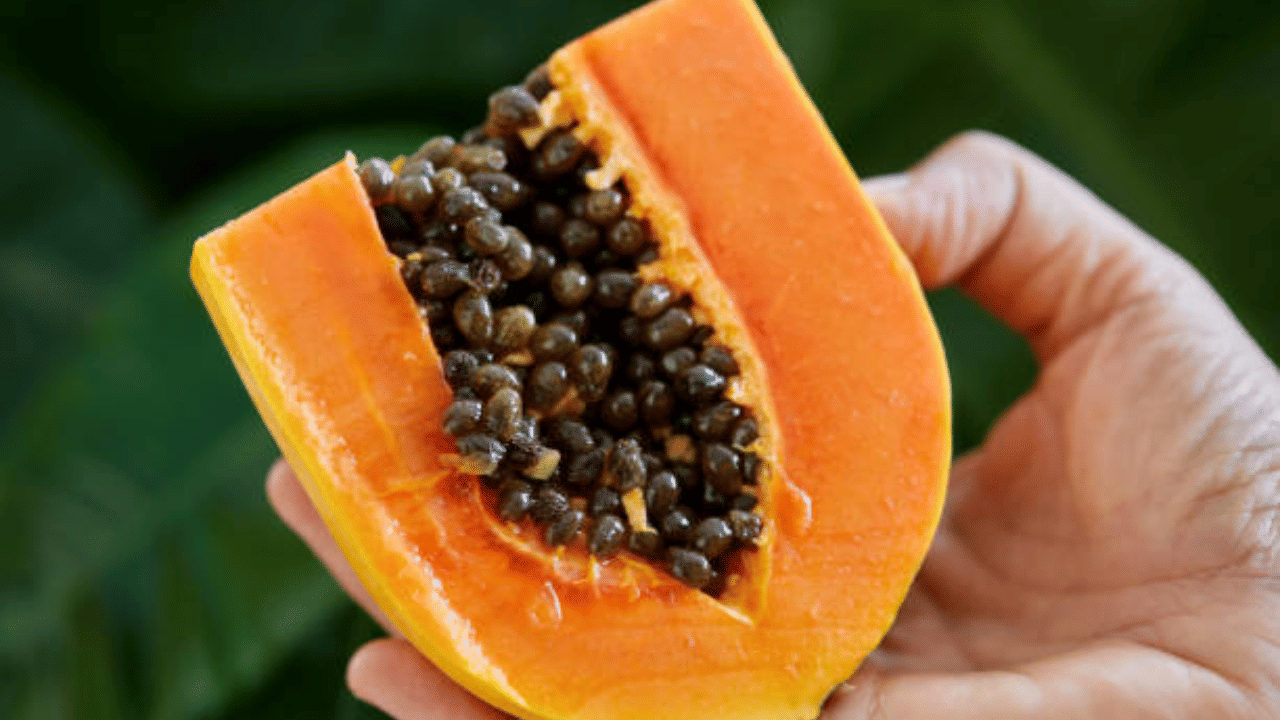 Papaya: പപ്പായ ഹെൽത്തിയാ, പക്ഷേ ഇക്കൂട്ടർ അബദ്ധത്തിൽ പോലും കഴിക്കല്ലേ...
