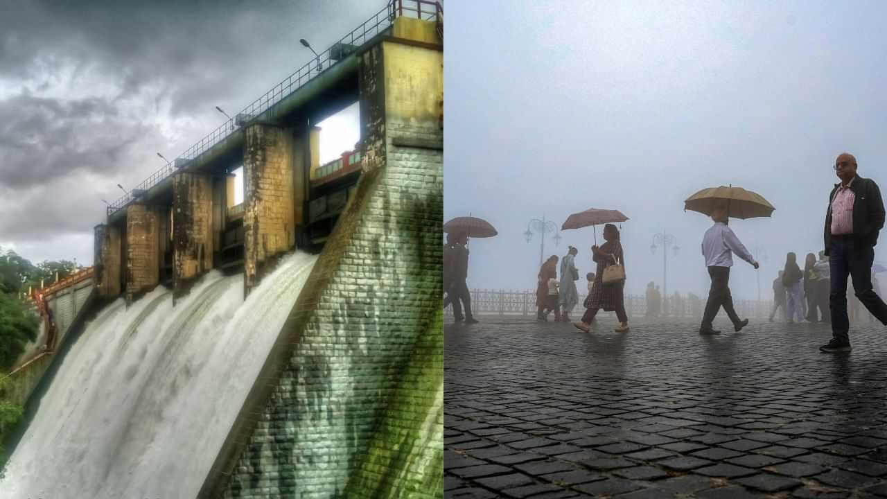 Peechi Dam opening: തൃശ്ശൂർ പീച്ചി ഡാം തുറക്കുന്നു; പുഴയോരത്ത് അതീവ ജാഗ്രതാ നിർദേശം