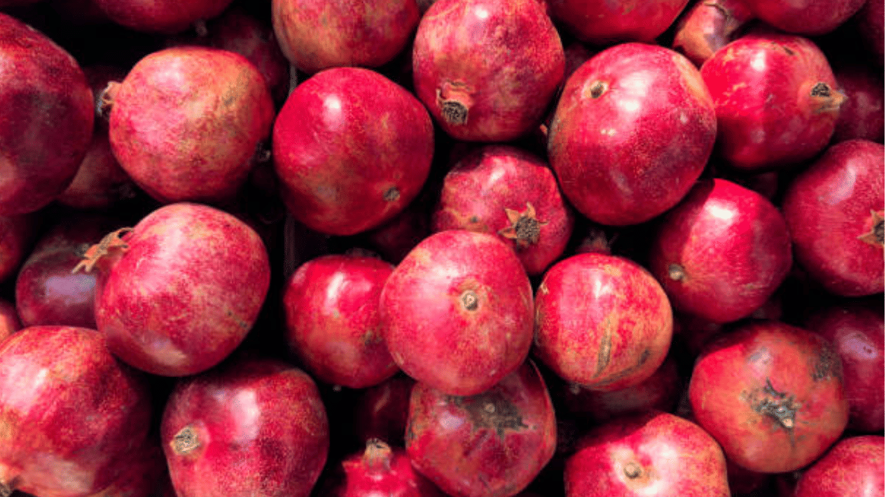 ധാരാളം പോഷകഗുണങ്ങളുള്ള പഴവർഗമാണ് മാതളനാരങ്ങ. വിറ്റാമിൻ സി, കെ, ബി, കാര്ബോഹൈഡ്രേട്സ് തുടങ്ങിയവ ഇവയിൽ അടങ്ങിയിട്ടുണ്ട്. മാതളനാരകത്തിന്റെ ജ്യൂസ്, തൊലി, കായ്, പൂവ്, ഇല എല്ലാം ഔഷധഗുണമുള്ളതാണ്. (Image Credit: Getty Images)