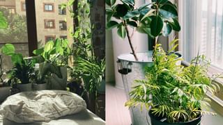 Coffee Benefits: വിഷാദമകറ്റും, പ്രമേഹത്തെ പ്രതിരോധിക്കും! കാപ്പിയുടെ മാന്ത്രിക ഗുണങ്ങൾ