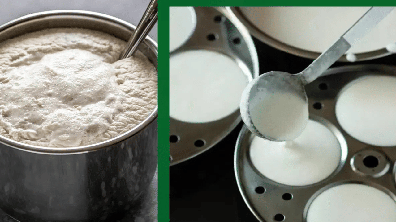 ഇഡലിമാവ് പുളിപ്പിക്കൽ പലപ്പോഴും ഒരു പ്രശ്നമായി വരാറുണ്ട്. എളുപ്പത്തിൽ മാവ് പുളിപ്പിക്കാൻ വഴികളുണ്ടോ എന്നു തിരയാത്തവർ ഉണ്ടാകില്ല. ഇതാ ചില പൊടിക്കൈകൾ...ആദ്യത്തേത് പ്രഷർകുക്കർ ഉപയോ​ഗിച്ചുള്ള വഴിയാണ്. ഇതിനായി മാവ് പാത്രത്തിലാക്കി ഉപ്പ് ചേർക്കുക. പ്രഷർ കുക്കർ ചൂടാക്കിയ ശേഷം മാവ് വെച്ച പാത്രം അതിനുള്ളിൽ വയ്ക്കുക. വിസിൽ ഇട്ട് കുക്കർ അടച്ച് 5 മിനിറ്റ് ചെറിയ തീയിൽ ചൂടാക്കുക. ശേഷം തീ ഓഫ് ചെയ്ത് ഒരു മണിക്കൂർ കാത്തിരുന്നാൽ മാവ് പുളിച്ച് കിട്ടും.