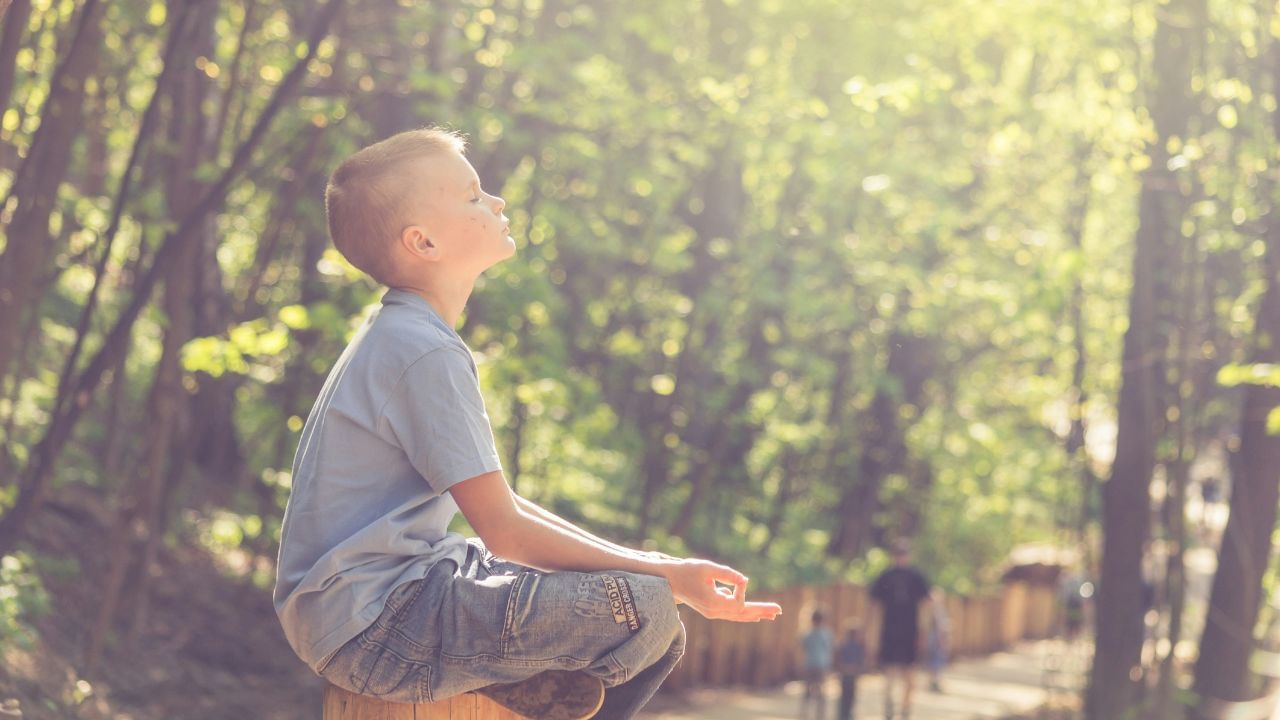  സാധിക്കുമ്പോഴെല്ലാം ദിവസവും 15 മുതൽ 20 മിനിറ്റ് വരെ വെയിൽ കൊള്ളുന്നത് വിറ്റാമിൻ ഡി അളവ് നിലനിർത്താൻ സഹായിക്കും.