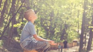 Digital Gold: ഡിജിറ്റല്‍ ഗോള്‍ഡ് വാങ്ങുന്നത് സൂക്ഷിച്ച് മതി; സുരക്ഷിതമല്ലെന്ന് സെബി മുന്നറിയിപ്പ്‌