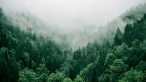 Kerala Weather Forecast: പകൽ ചൂടും അതിരാവിലെ തണുപ്പും, കൂടെ നേരിയ മഴയും… മാറി മറിഞ്ഞ കാലാവസ്ഥയ്ക്ക് കാരണം