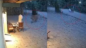 Viral News: വീട്ടുമുറ്റത്തിരുന്നയാളെ കടുവ ആക്രമിക്കുന്നു, പിന്നാലെ വലിച്ചിഴച്ച് കാട്ടിലേക്ക്; വാസ്തവം എന്ത്?