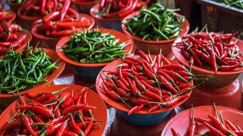 Spice sensing: എരിവ് ഒരു രുചിയല്ല…. പിന്നെ ഇത് തോന്നുന്നത് എങ്ങനെ?