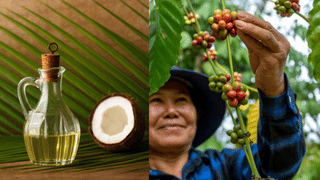 Gold Rate: സ്വർണം വാങ്ങാൻ പോകുന്നുണ്ടോ? വില ഒരു ലക്ഷം! ഇന്ന് കൂടിയോ കുറഞ്ഞോ?