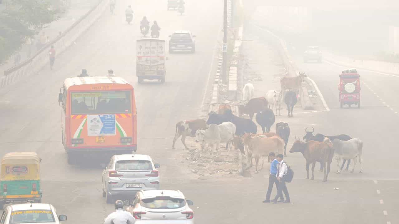 Delhi Air Pollution: ഡൽ​ഹി വായു മലീനീകരണം: സർക്കാർ ഓഫീസ് ജീവനക്കാർക്ക് വർക്ക് ഫ്രം ഹോം പ്രഖ്യാപിച്ചു