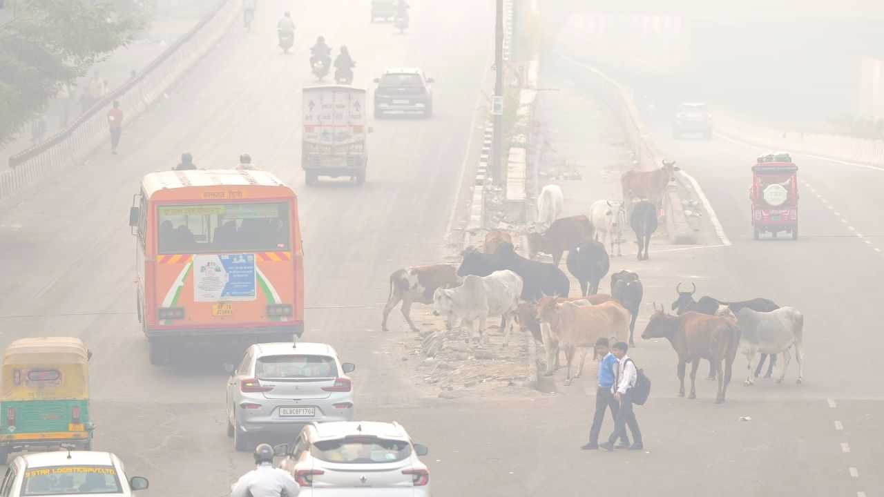 Delhi Air Pollution: ഡൽ​ഹി വായു മലീനീകരണം: സർക്കാർ ഓഫീസ് ജീവനക്കാർക്ക് വർക്ക് ഫ്രം ഹോം പ്രഖ്യാപിച്ചു