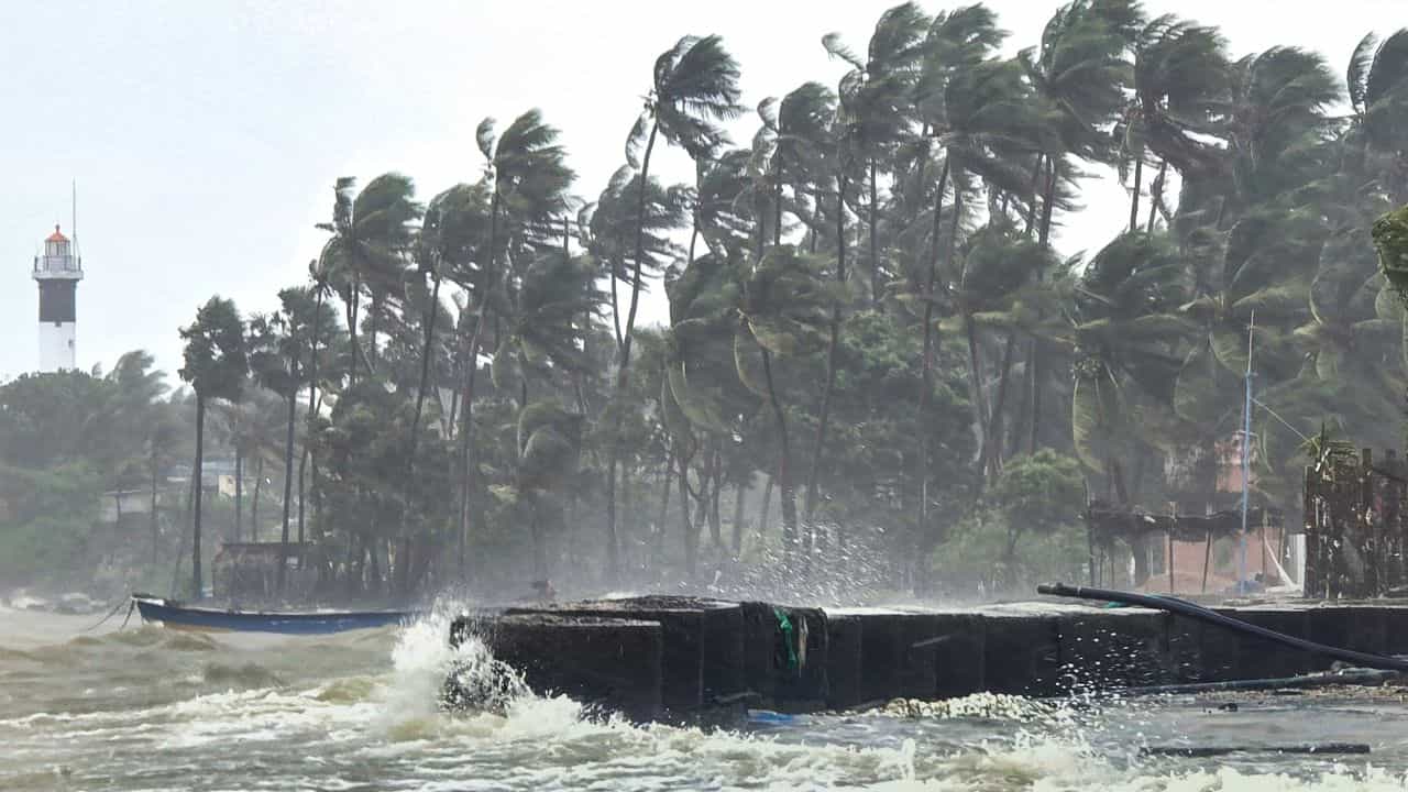 Ditwah Cyclone: കലിതുള്ളി ഡിറ്റ് വാ ചുഴലിക്കാറ്റ്; തമിഴ്നാട്ടിൽ സ്കൂളുകൾക്കും കോളേജുകൾക്കും അവധി, കേരളത്തെ ബാധിക്കുമോ? Ditwah Cyclone: കലിതുള്ളി ഡിറ്റ് വാ ചുഴലിക്കാറ്റ്; തമിഴ്നാട്ടിൽ സ്കൂളുകൾക്കും കോളേജുകൾക്കും അവധി, കേരളത്തെ ബാധിക്കുമോ?