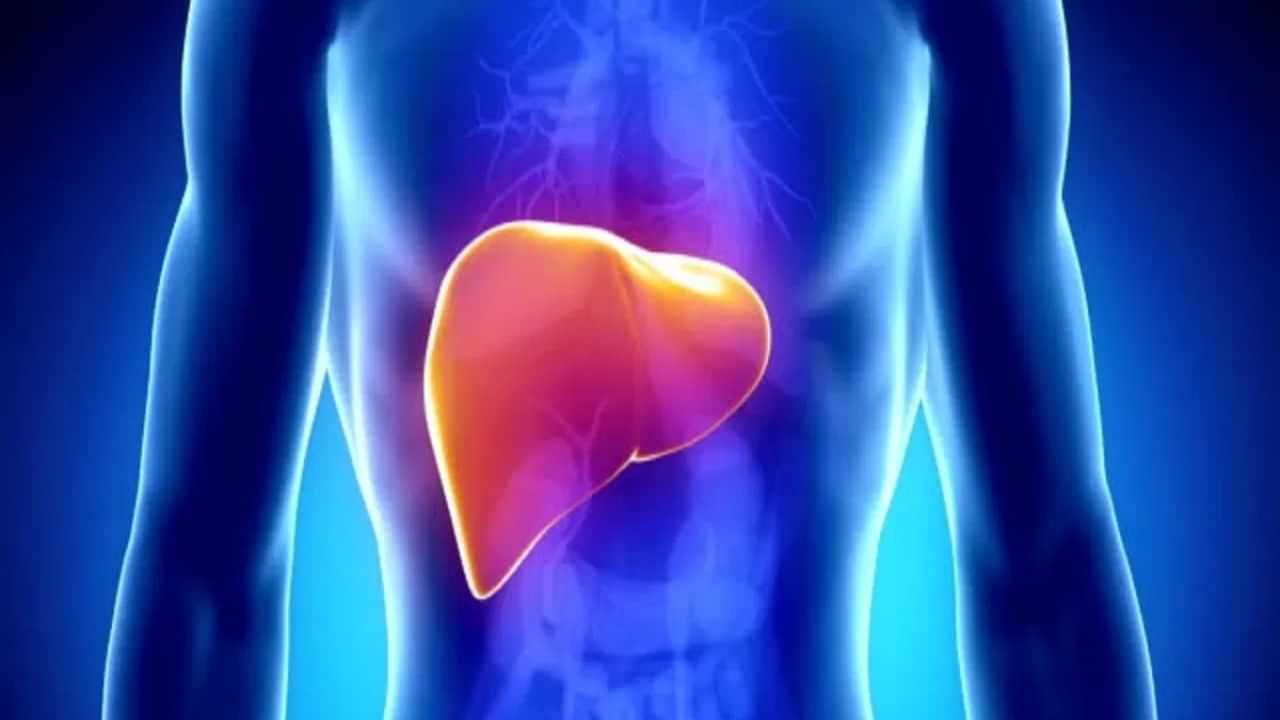 Fatty Liver Remedies: പാളിയാൽ തീർന്നു, ഫാറ്റി ലിവർ തടയാൻ വീട്ടിൽ തന്നെ 6 വഴികൾ