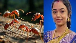 SIR West Bengal : എസ്‌ഐആർ എഫക്ടോ? ബം​ഗാളിൽ ആയിരക്കണക്കിന് ആധാർ കാർഡുകൾ ഉപേക്ഷിക്കപ്പെട്ട നിലയിൽ