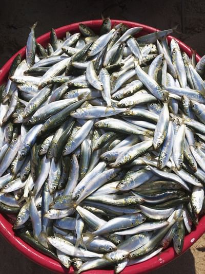 മീനിലെ ഫോര്‍മാലിന്‍ ഇങ്ങനെ കണ്ടെത്താം