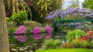 Home Garden: പൂക്കളും…പുഴകളും; നന്നായി പൂന്തോട്ടം നോക്കാന് അറിയുന്നവര്ക്ക് 72,48,372.00 രൂപ നേടാന് അവസരം Home Garden: പൂക്കളും…പുഴകളും; നന്നായി പൂന്തോട്ടം നോക്കാന് അറിയുന്നവര്ക്ക് 72,48,372.00 രൂപ നേടാന് അവസരം