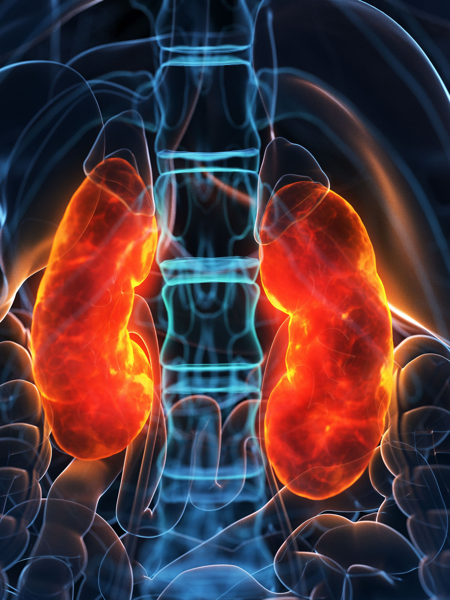 ഉയർന്ന രക്തസമ്മർദ്ദം: രക്തസമ്മർദ്ദം അമിതമായാൽ കാലക്രമേണ, അവ ധമനികൾ, ഹൃദയം, തലച്ചോറ്, വൃക്കകൾ തുടങ്ങിയ സുപ്രധാന അവയവങ്ങളെ ഇല്ലാതാക്കുന്നു. ഒരുപക്ഷേ രോ​ഗം വഷളാകുന്നത് വരെ രോഗലക്ഷണങ്ങൾ കാണിച്ചില്ലെന്നും വരാം. അതുകൊണ്ട് തന്നെ രക്താതിമർദ്ദത്തെ "നിശബ്ദ കൊലയാളി" എന്നാണ് ആരോ​ഗ്യ വദ്​ഗധർ വിശേഷിപ്പിക്കുന്നത്. (Image Credits: Getty Images)

